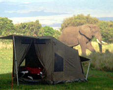 Oz Tent